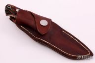 Small Pro Hunter - Amber Stag