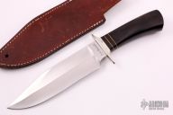 Rare USA-MADE 2003 Bowie