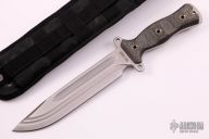 Team Gemini Light Brigade