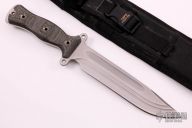 Team Gemini Light Brigade