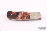 Big Horn Sheep Lockback