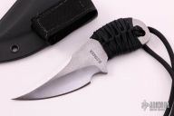 Small Persian Fighter