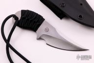 Small Persian Fighter