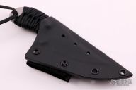 Small Persian Fighter