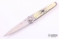 Paul Defender - Black Widow Spider