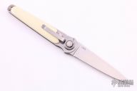 Paul Defender - Black Widow Spider