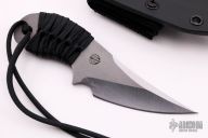 Small Persian Fighter