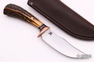 Trout and Grouse - Sambar Stag