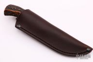 Trout and Grouse - Sambar Stag