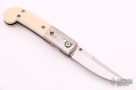 Linerlock Folder w/ ToothPick 