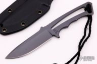 Professional Soldier