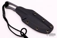 Professional Soldier