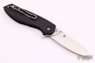 C195CFP Positron - Carbon Fiber