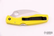 C77PYL SpyderHawk H1