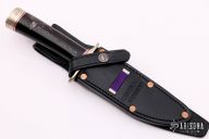 Combat Companion - Remember Vietnam