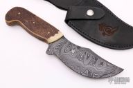 Custom Moose Skinner