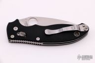 C101GP Manix 2