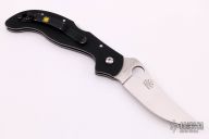 Persian by Ed Schempp