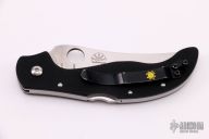 Persian by Ed Schempp