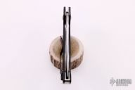 Persian by Ed Schempp