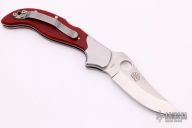 Persian by Ed Schempp