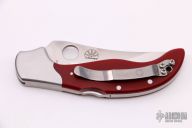 Persian by Ed Schempp