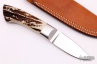 Custom Hunter - Stag