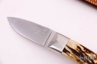 Custom Hunter - Stag