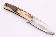 FR - Damacore and Mammoth Ivory