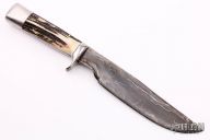 Damascus and Stag Camp Knife