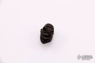 Scud Hunter Bead - Iron