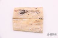 Mammoth Ivory Scales