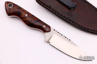 Clip Point - Ironwood Burl