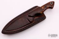 Clip Point - Ironwood Burl