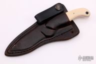 Diplomat - Ivory Paper Micarta