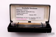 3-Blade Sowbelly - Mammoth Ivory