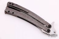 Terry Guinn and David Santiago Collaboration