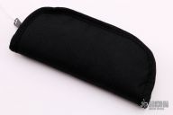 Terry Guinn and David Santiago Collaboration