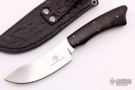 Grazer - Springbok- Ebony