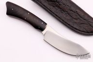 Grazer - Springbok- Ebony