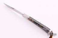 Mammoth Molar Trapper