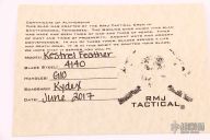 Kestrel Feather - Brown