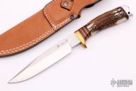 Sambar Stag Limited Edition 