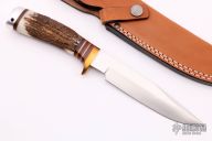 Sambar Stag Limited Edition 