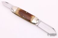 362208 Tidioute Sunfish w/ Pioneer Bone - 15of50