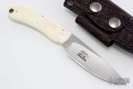 2015 Featured Model - Warthog Ivory