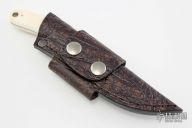 2015 Featured Model - Warthog Ivory