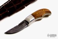 Mini Damascus Fixed Blade