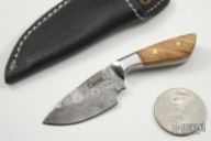 Mini Damascus Fixed Blade