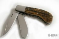 Small Saddlehorn Trapper